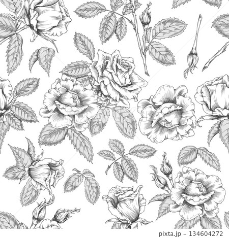 A seamless monochrome pattern with hand-sketched vintage roses, buds, and leaves. A seamless monochrome pattern with hand-sketched vintage roses, buds, and leaves. 134604272