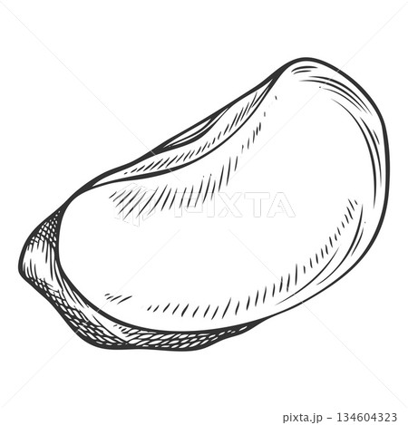 Acerola berry slice, engraved monochrome vintage style. Acerola berry slice, engraved monochrome vintage style. 134604323