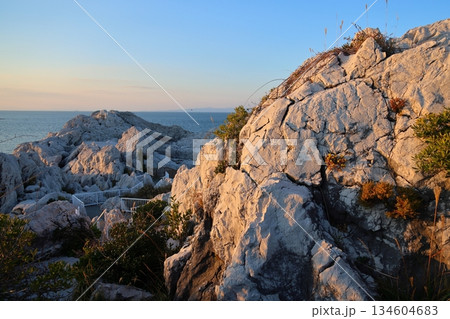 ◇白崎海洋公園／「日本のエーゲ海」「日本の渚百選」【和歌山県由良町】 134604683