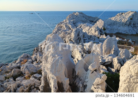 ◇白崎海洋公園／「日本のエーゲ海」「日本の渚百選」【和歌山県由良町】 134604691