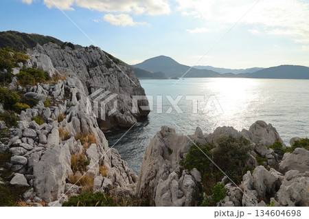 ◇白崎海洋公園／「日本のエーゲ海」「日本の渚百選」【和歌山県由良町】 134604698