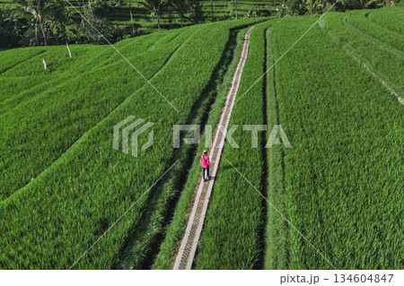 Captivating Images Showcasing Rice Paddies And Scenic Beauty Of Bali Countryside Captivating Images Showcasing Rice Paddies And Scenic Beauty Of Bali Countryside 134604847