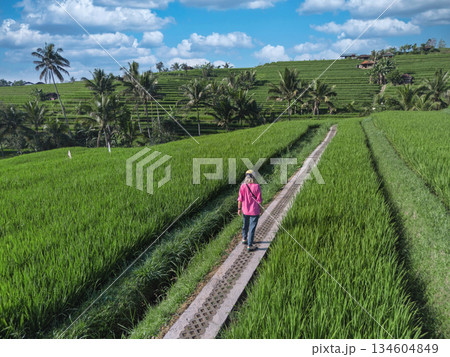 Serene Landscape Showing Woman Walking Along Lush Rice Terraces Serene Landscape Showing Woman Walking Along Lush Rice Terraces 134604849