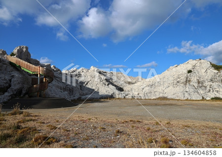 ◇白崎海洋公園／「日本のエーゲ海」「日本の渚百選」【和歌山県由良町】 134604858
