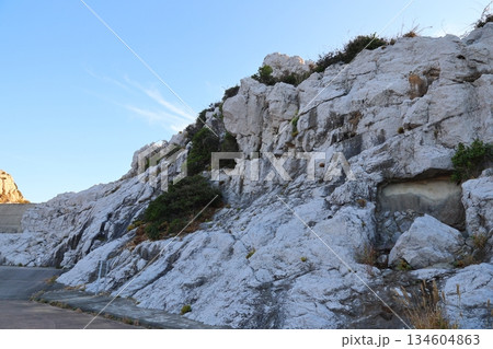 ◇白崎海洋公園／「日本のエーゲ海」「日本の渚百選」【和歌山県由良町】 134604863