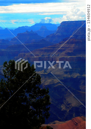 Cloudy Day At The Grand Canyon Arizona Cloudy Day At The Grand Canyon Arizona 134604912