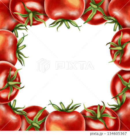 Frame. Hand-drawn watercolor illustration, frame with red tomatoes. Vegetables. Perfect for packaging, kitchen textiles, cookbooks and recipes, and menus. 134605367