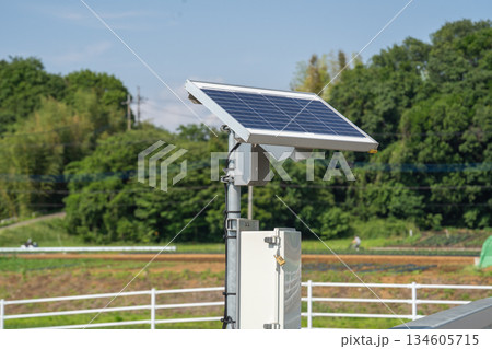 太陽光発電のパネル 134605715