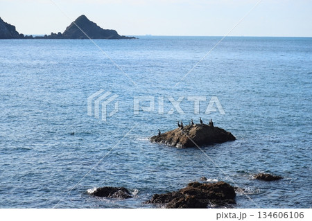 ◇白崎海岸 ／「日本の渚百選」【和歌山県由良町】 134606106