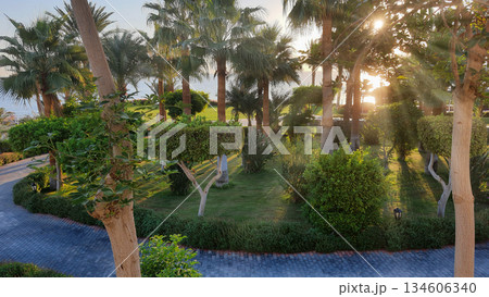 Sun shining through trees at a garden by the sea in the late afternoon 134606340