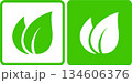 Green leaves, eco label icons 134606376