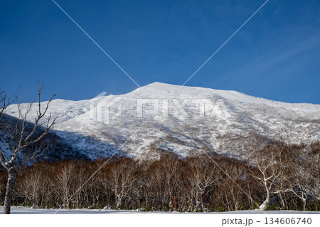 北海道のスキー場 北海道のスキー場 134606740