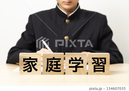 「家庭学習」と書かれたブロックと男子学生 「家庭学習」と書かれたブロックと男子学生 134607035