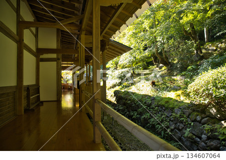小倉山二尊院 本堂西側の綺麗な廊下1 小倉山二尊院 本堂西側の綺麗な廊下1 134607064