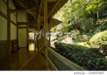小倉山二尊院 本堂西側の綺麗な廊下2 小倉山二尊院 本堂西側の綺麗な廊下2 134607067