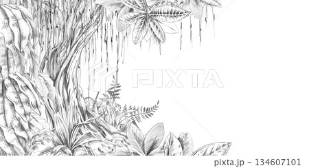 A rectangular frame with a powerful tree trunk, leaves, and grass at the bottom. Isolated pencil illustration for event invitation design, eco-hotel print design, poster printing, and menu design. A rectangular frame with a powerful tree trunk, leaves, and grass at the bottom. Isolated pencil illustration for event invitation design, eco-hotel print design, poster printing, and menu design. 134607101
