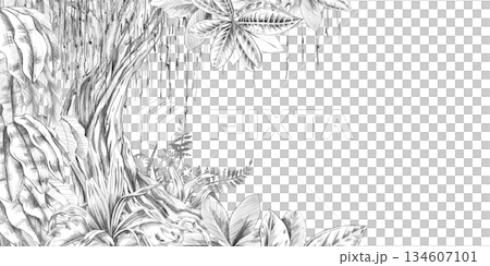 A rectangular frame with a powerful tree trunk, leaves, and grass at the bottom. Isolated pencil illustration for event invitation design, eco-hotel print design, poster printing, and menu design. A rectangular frame with a powerful tree trunk, leaves, and grass at the bottom. Isolated pencil illustration for event invitation design, eco-hotel print design, poster printing, and menu design. 134607101