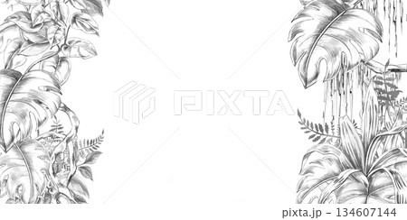 Rectangular frame with vines, tropical plants, ferns, and herbs. Isolated pencil illustration for event invitation design, eco-hotel print design, poster printing, and menu design. 134607144
