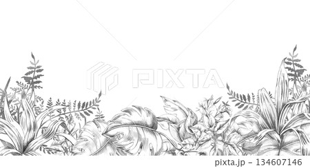 A rectangular frame with tropical plants, ferns, and herbs at the bottom. Isolated pencil illustration for event invitation design, eco-hotel print design, poster printing, and menu design. 134607146