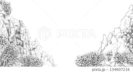 A rectangular frame depicting a mountain landscape with scaly flowers in the foreground. Isolated pencil illustration for event invitation design, eco-hotel print design, poster printing,menu design. A rectangular frame depicting a mountain landscape with scaly flowers in the foreground. Isolated pencil illustration for event invitation design, eco-hotel print design, poster printing,menu design. 134607216