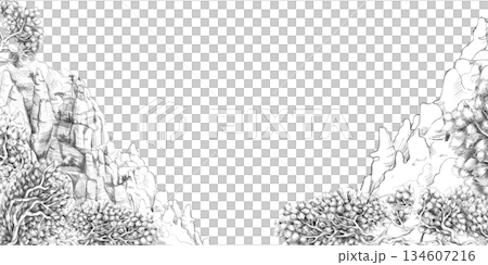 A rectangular frame depicting a mountain landscape with scaly flowers in the foreground. Isolated pencil illustration for event invitation design, eco-hotel print design, poster printing,menu design. A rectangular frame depicting a mountain landscape with scaly flowers in the foreground. Isolated pencil illustration for event invitation design, eco-hotel print design, poster printing,menu design. 134607216