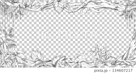 A rectangular frame with branches entwined with vines and lilies. Isolated pencil illustration of a tropical forest for event invitations, eco-hotel print design, poster printing, and menu design. 134607217