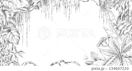 A rectangular tropical forest frame with vines, tangled leaves, and branches. Isolated pencil illustration for event invitation design, eco-hotel print design, poster printing, and menu design. A rectangular tropical forest frame with vines, tangled leaves, and branches. Isolated pencil illustration for event invitation design, eco-hotel print design, poster printing, and menu design. 134607220