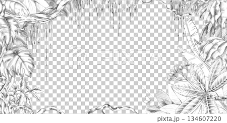 A rectangular tropical forest frame with vines, tangled leaves, and branches. Isolated pencil illustration for event invitation design, eco-hotel print design, poster printing, and menu design. A rectangular tropical forest frame with vines, tangled leaves, and branches. Isolated pencil illustration for event invitation design, eco-hotel print design, poster printing, and menu design. 134607220