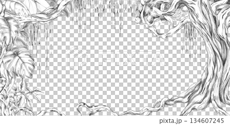 Rectangular frame with an old tree, vines, and tropical leaves. Isolated pencil illustration for event invitation design, eco-hotel print design, poster printing, and menu design. Rectangular frame with an old tree, vines, and tropical leaves. Isolated pencil illustration for event invitation design, eco-hotel print design, poster printing, and menu design. 134607245