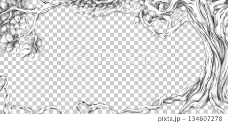 A rectangular frame with a mighty tree with roots and branches. Isolated pencil illustration for event invitation design, eco-hotel print design, poster printing, and menu design. 134607278