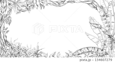 A rectangular frame with large banana tree leaves, a mighty tree trunk, and vines. Isolated pencil illustration for event invitations, eco-hotel print design, poster printing, and menu design. 134607279