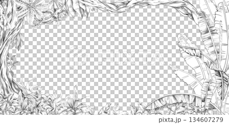 A rectangular frame with large banana tree leaves, a mighty tree trunk, and vines. Isolated pencil illustration for event invitations, eco-hotel print design, poster printing, and menu design. 134607279