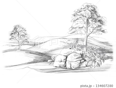 A rolling landscape with trees and large rocks in the foreground. Isolated pencil illustration for event invitations, eco-hotel print design, poster printing, and menu design. A rolling landscape with trees and large rocks in the foreground. Isolated pencil illustration for event invitations, eco-hotel print design, poster printing, and menu design. 134607280