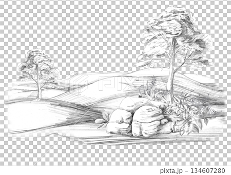 A rolling landscape with trees and large rocks in the foreground. Isolated pencil illustration for event invitations, eco-hotel print design, poster printing, and menu design. 134607280