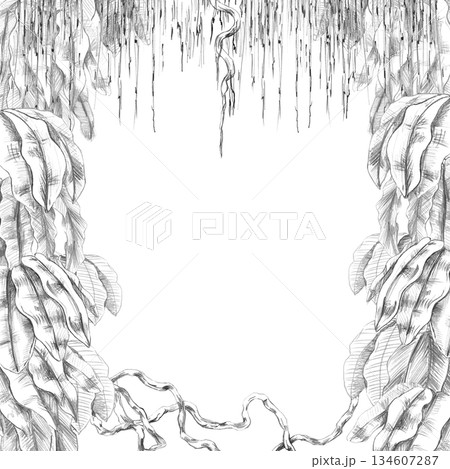 A square frame with tropical foliage and dangling vines. Isolated pencil illustration for event invitations, eco-hotel print design, poster printing, and menu design. 134607287