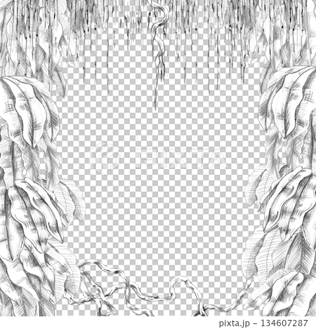 A square frame with tropical foliage and dangling vines. Isolated pencil illustration for event invitations, eco-hotel print design, poster printing, and menu design. 134607287