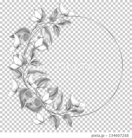 A circular wreath with curved tropical plants and butterflies. Isolated pencil illustration for event invitations, eco-hotel print design, poster printing, and menu design. A circular wreath with curved tropical plants and butterflies. Isolated pencil illustration for event invitations, eco-hotel print design, poster printing, and menu design. 134607288