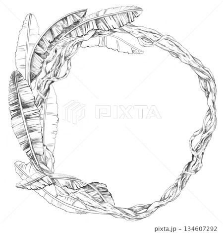 A round frame with banana tree leaves entwined with vines. Isolated pencil illustration for event invitations, eco-hotel print design, poster printing, and menu design. 134607292