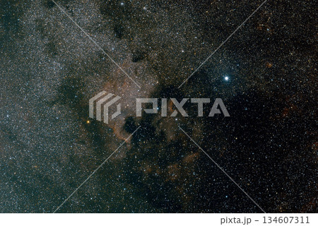 はくちょう座にある北アメリカ星雲とペリカン星雲 134607311