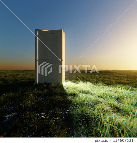 Open wooden door glowing with bright light in the middle of a green field under a evening sky. Concept of hope, new opportunities, freedom, and a fresh beginning. Creative idea 134607531