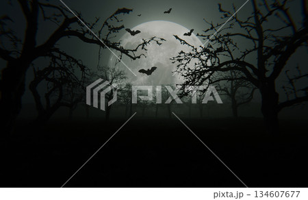 Dark spooky forest with bare trees under a full moon, bats flying across the night sky, creating a mysterious and eerie Halloween atmosphere. Happy Halloween, concept. Scary night landscape wallpaper 134607677