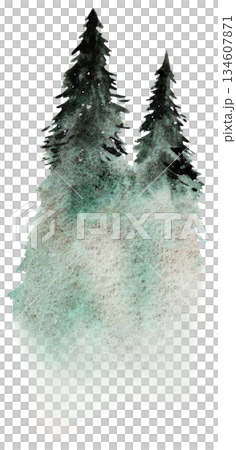 Hand drawn watercolor green spruce or pine tree misty forest, winter isolated illustration Hand drawn watercolor green spruce or pine tree misty forest, winter isolated illustration 134607871