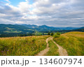 Beautiful mountain landscape with road and hills on the horizon. Carpathian, Ukraine, Europe 134607974