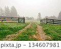 Misty summer morning in a mountain village. Mystical landscape with road and old wooden wicket 134607981