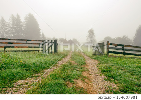 Misty summer morning in a mountain village. Mystical landscape with road and old wooden wicket 134607981