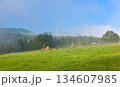 A beautiful foggy morning in the mountains. Carpathian, Ukraine, Europe. 134607985