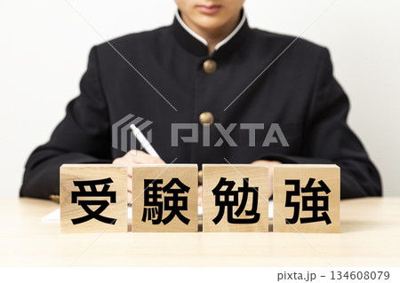 「受験勉強」と書かれたブロックと男子学生 「受験勉強」と書かれたブロックと男子学生 134608079