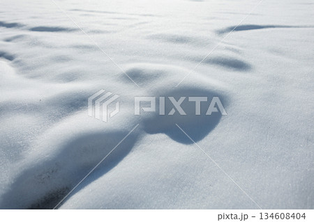 Fresh, undisturbed snow texture with gentle drifts and shadows under bright sunlight. Winter landscape background. Snow texture. Fresh, undisturbed snow texture with gentle drifts and shadows under bright sunlight. Winter landscape background. Snow texture. 134608404