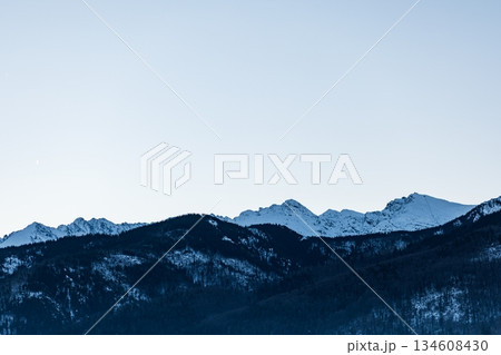 Serene winter mountain skyline with snow-covered peaks rising above dark, densely forested lower slopes under a pale, cold, gradient sky. Zakopane, Poland Serene winter mountain skyline with snow-covered peaks rising above dark, densely forested lower slopes under a pale, cold, gradient sky. Zakopane, Poland 134608430