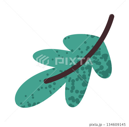 Spicy greenery for pizza flavoring Spicy greenery for pizza flavoring 134609145